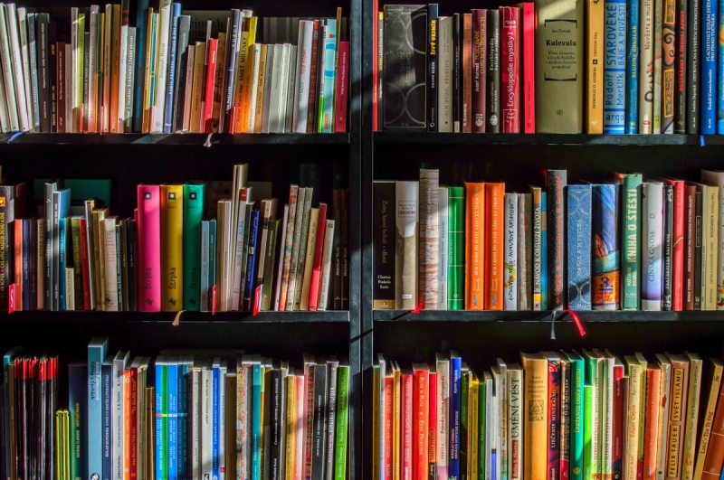 vente-LA GAUDE-min_books_bookstore_book_reading_shop_writer_sale_books_read-822866